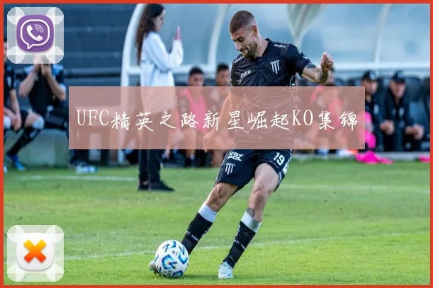UFC精英之路新星崛起KO集锦