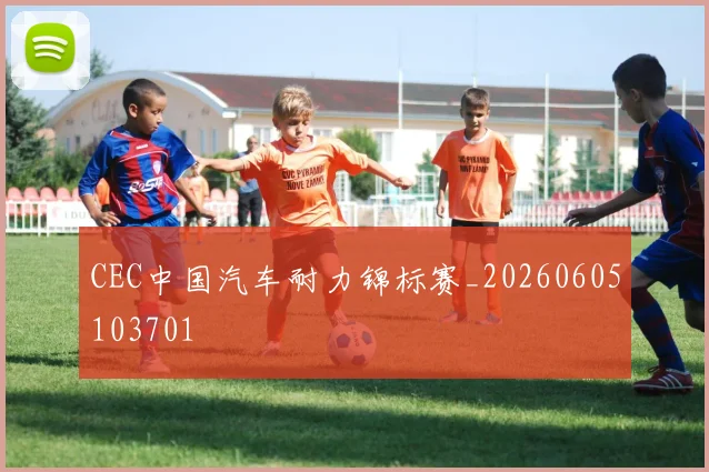 CEC中国汽车耐力锦标赛_20260605103701
