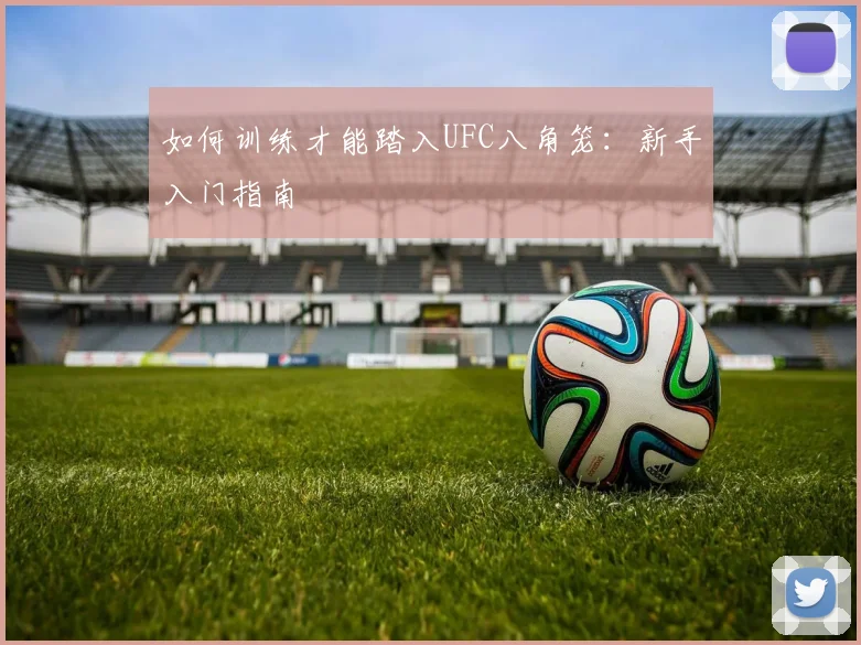 如何训练才能踏入UFC八角笼：新手入门指南