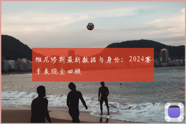维尼修斯最新数据与身价：2024赛季表现全回顾