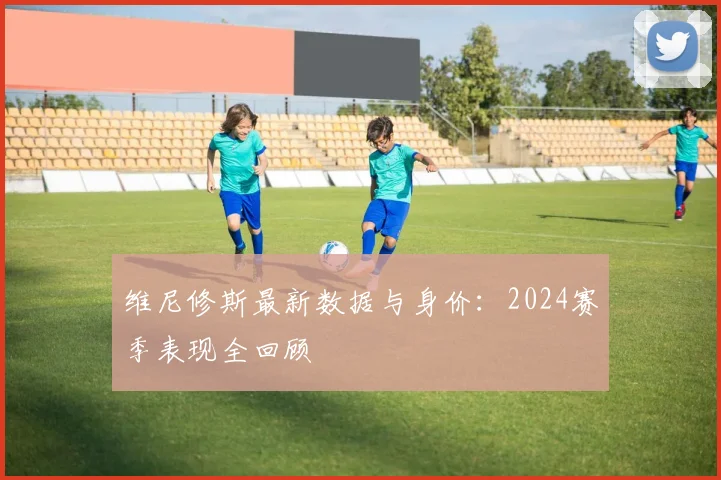 维尼修斯最新数据与身价：2024赛季表现全回顾